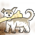 Nothing Like a Good Bone