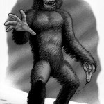 Swedequatch